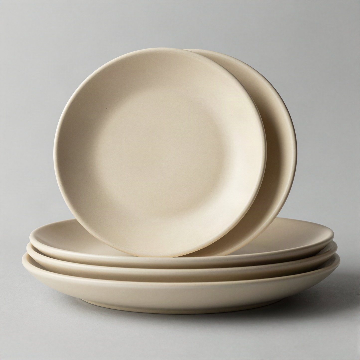 Stoneware Dinner Plate Set
